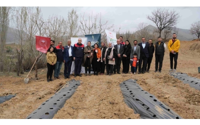 İyi Tarım Uygulamalarını Yaygınlaştırılması Projesi Kapsamında Çilek Fidelerimiz Torak ile buluştu