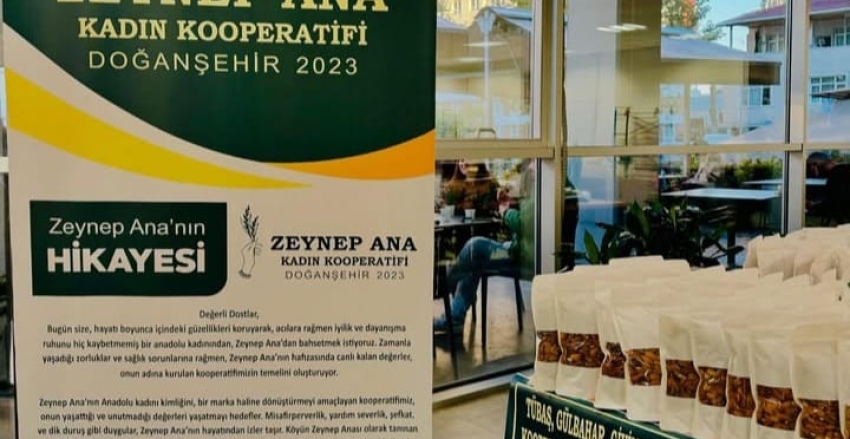 ZEYNEP ANA'NIN HİKAYESİ