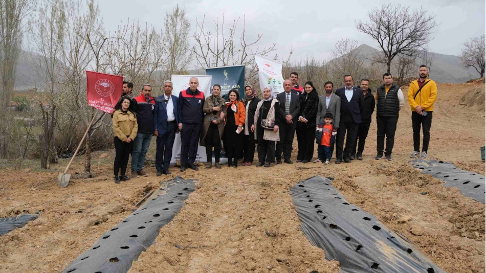 İyi Tarım Uygulamalarını Yaygınlaştırılması Kapsamında Çilek Fidelerimiz Torak ile buluştu